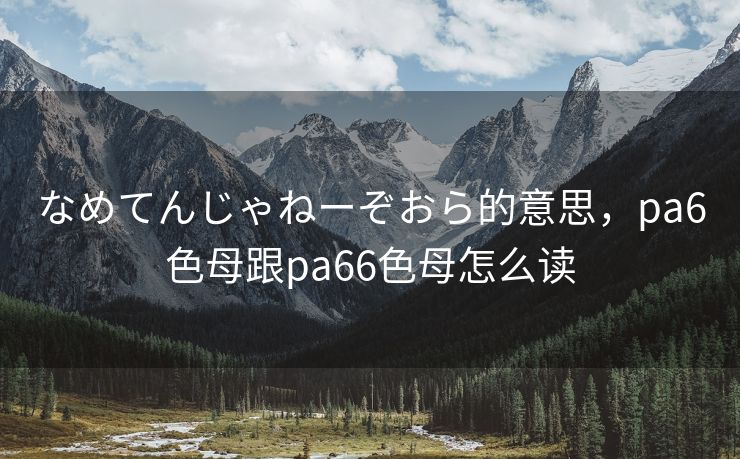 なめてんじゃねーぞおら的意思，pa6色母跟pa66色母怎么读